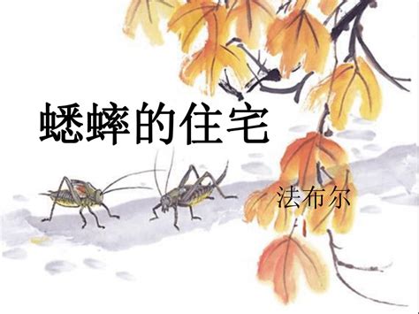 蟋蟀进屋风水|蟋蟀进屋的精神意义：5 种含义